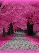 Love Pink Road